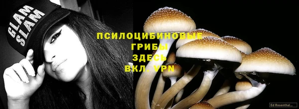 Альфа ПВП Арсеньев