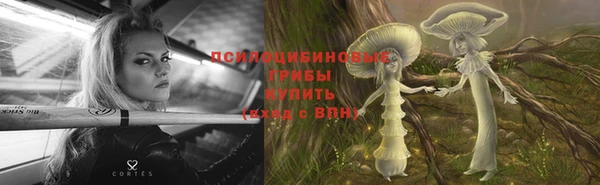 Альфа ПВП Арсеньев
