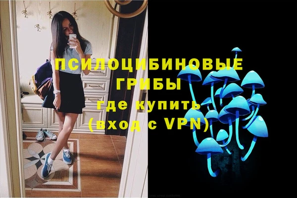 Альфа ПВП Арсеньев