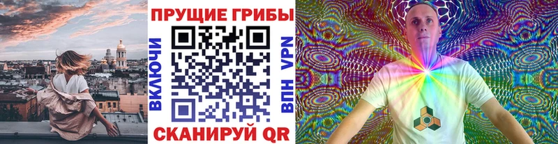 Псилоцибиновые грибы MAGIC MUSHROOMS OMG ссылки Новороссийск магазин продажи