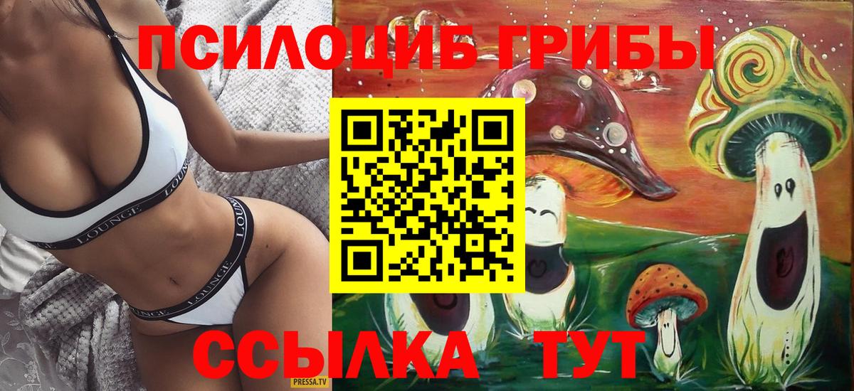 Псилоцибиновые грибы Psilocybine cubensis  Вход с VPN  Новороссийск 