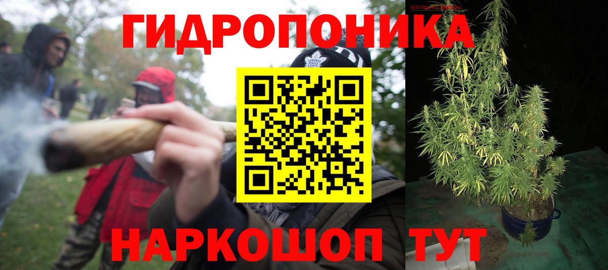 Новороссийск  Каннабис VHQ  Марихуана сатива  Конопля план  Вход с VPN 